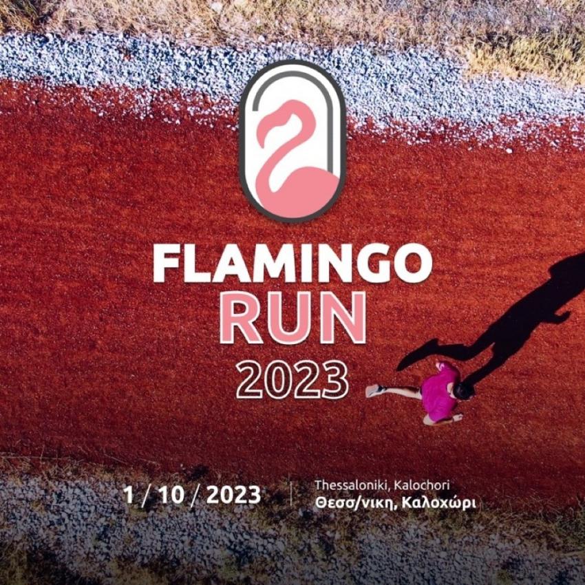 Flamingo Run 2023