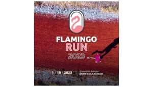Flamingo Run 2023