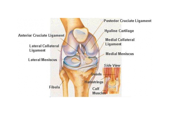 Οι αθλητικές κακώσεις στο γόνατο