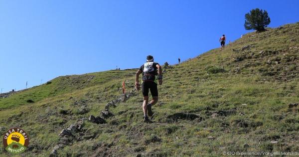 Ανακοίνωση μελέτης Metsovo Ursa Trail - Sports Excellence